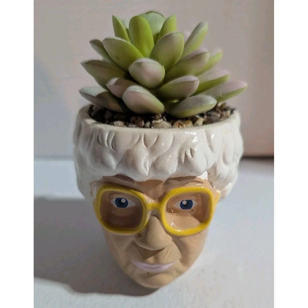 The Golden Girls Sophia Face Mini Ceramic Planter With Faux Succulent | 3 Inches
